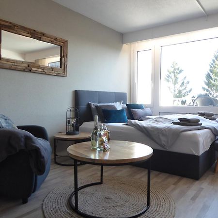 Mountain Suite Winterberg Pool Sauna Hund 4 Pers Wifi Near Bikepark Εξωτερικό φωτογραφία